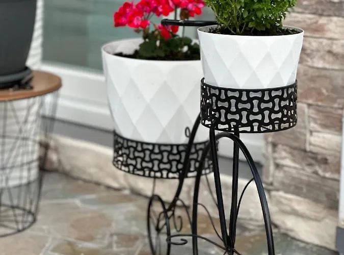 Mesangala Sunrise * Néa Meságkala